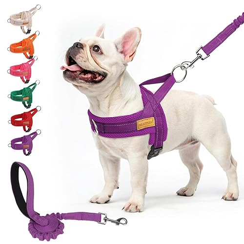 BEAUTYZOO No Pull Dog Harness Medium Sized Dog, Breathable Mesh Padded Dog Harness and Leash Set, Adjustable Reflective Escape Proof Dog Vest Harnessss Quick Fit for Training Walking, Purple M