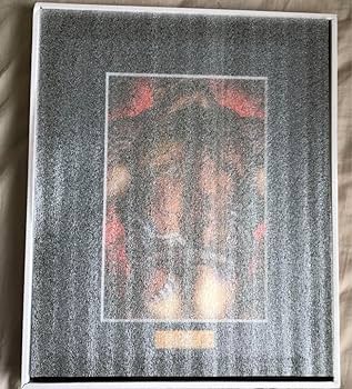 刃牙展　花山薫　複製原画 Amazon.co.jp: 刃牙展 花山薫 複製原画 アート : おもちゃ