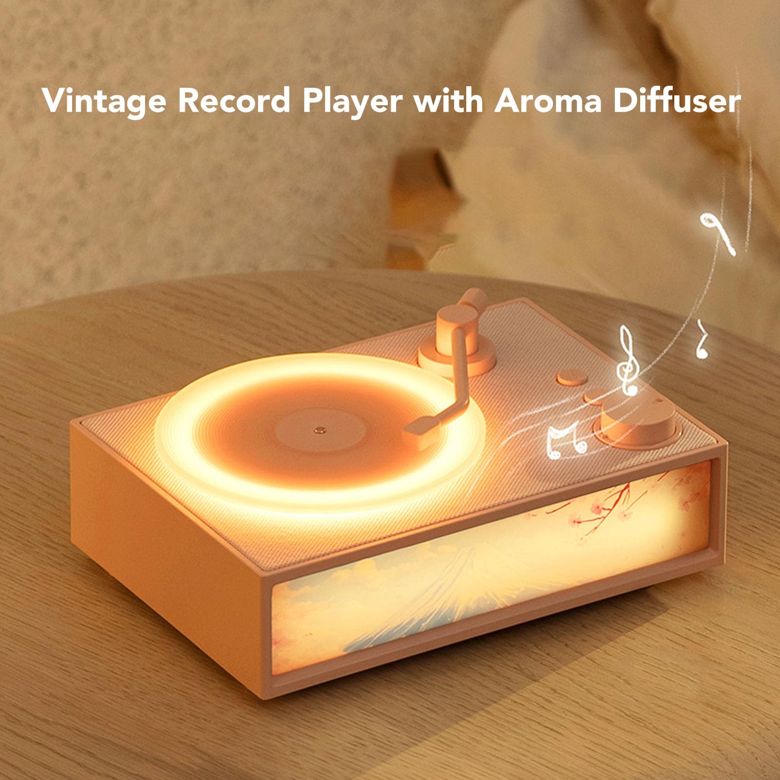 Lecteur de Disque sans Fil Portable, Lecteur de Disque sans Fil 5.3 Bluetooth Prend en Charge la Carte Mémoire, Phonographe à l'ancienne pour l'intérieur (Verte)