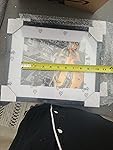 Review Image by Amazon Customer