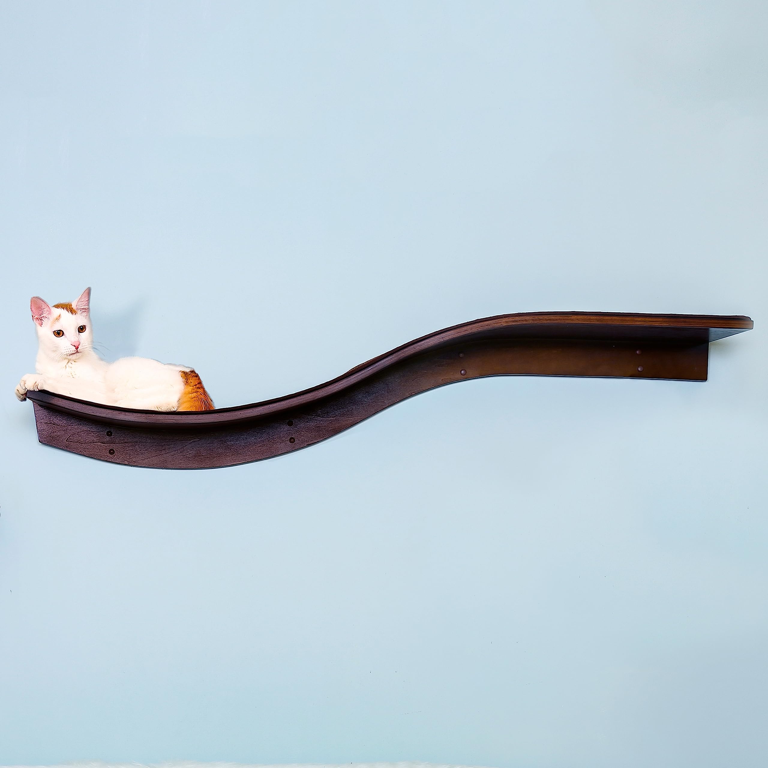Refined Feline 60" Lotus Branch