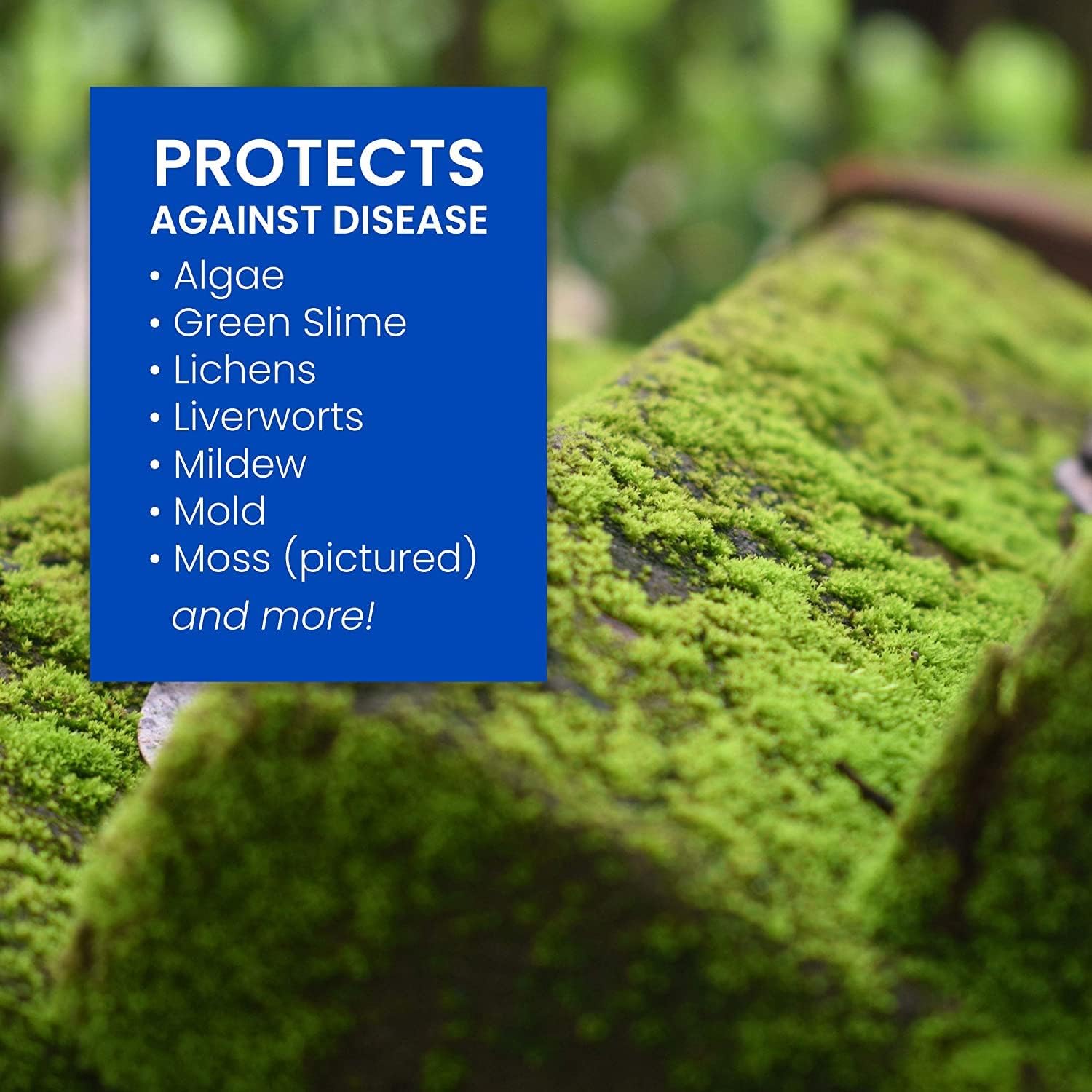 BioAdvanced 2-in-1 Moss and Algae Killer and Cleaner, Ready-to-Spray, 32 oz with BioAdvanced Fungus Control for Lawns, Ready-to-Spray, 32 oz