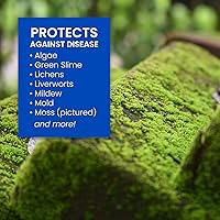 Vista 4 de BioAdvanced Limpiador y asesino de musgos y algas 2 en 1, listo para rociar, 32 onzas con control de hongos BioAdvanced para césped, listo