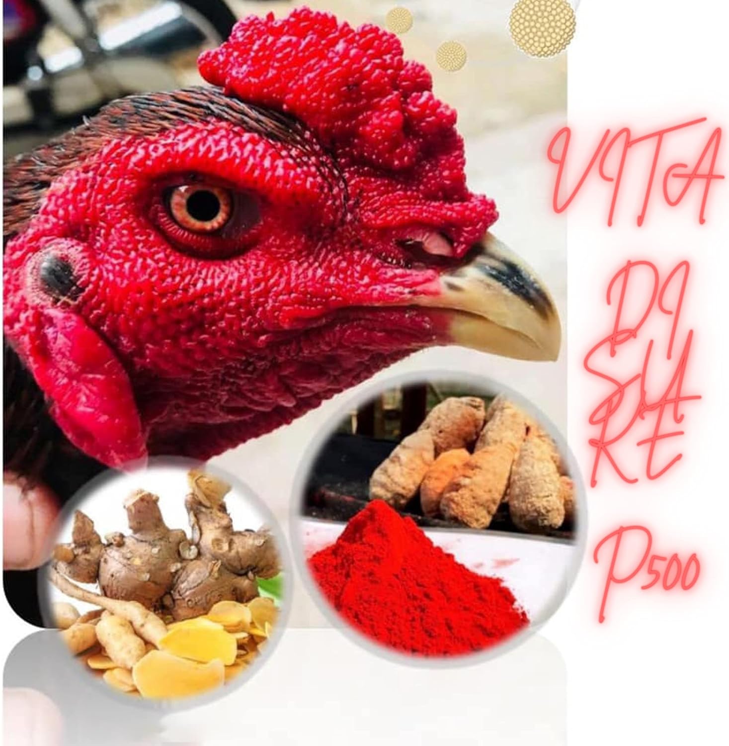 HULX VITA DISUKE P500 50 Tablets