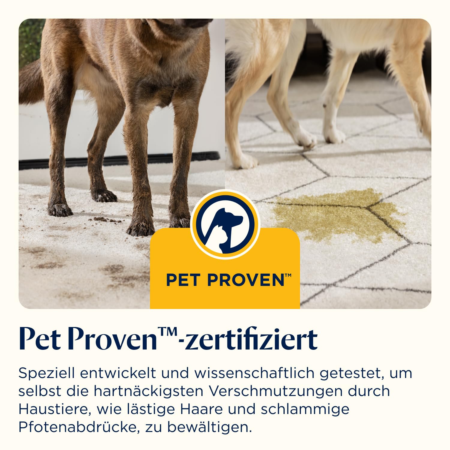 BISSELL SpotClean HydroSteam, Polsterreiniger Gerät, Teppichreiniger mit HydroSteam Technologie, Dampfreiniger, Nasssauger für Teppiche, Polster, Auto & Mehr, Leistungsstarker 1000W Motor, 3689N