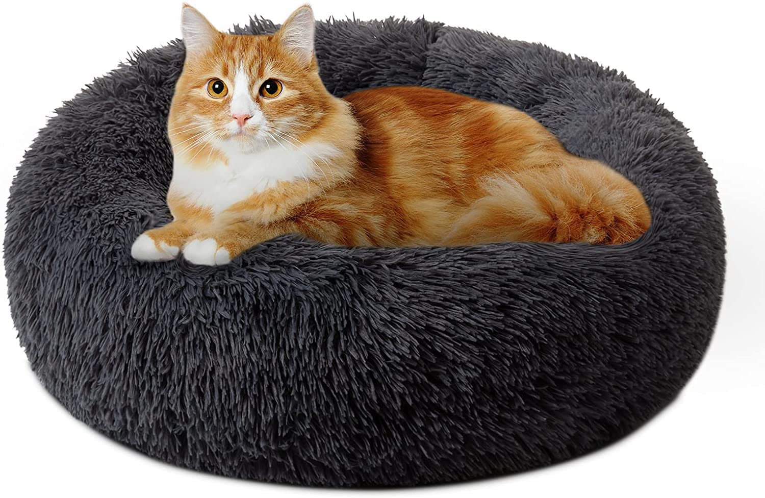 Poofys Pet Island Dog Bed Medium Size Ultra Soft Mink Fabric Black Color Polyester Fiber Fill Pet Bed Pillow for Puppy, Cat, Kitten and Animal Beds (B0BYJJ3DZF) Amazon Price History, Amazon Price Tracker