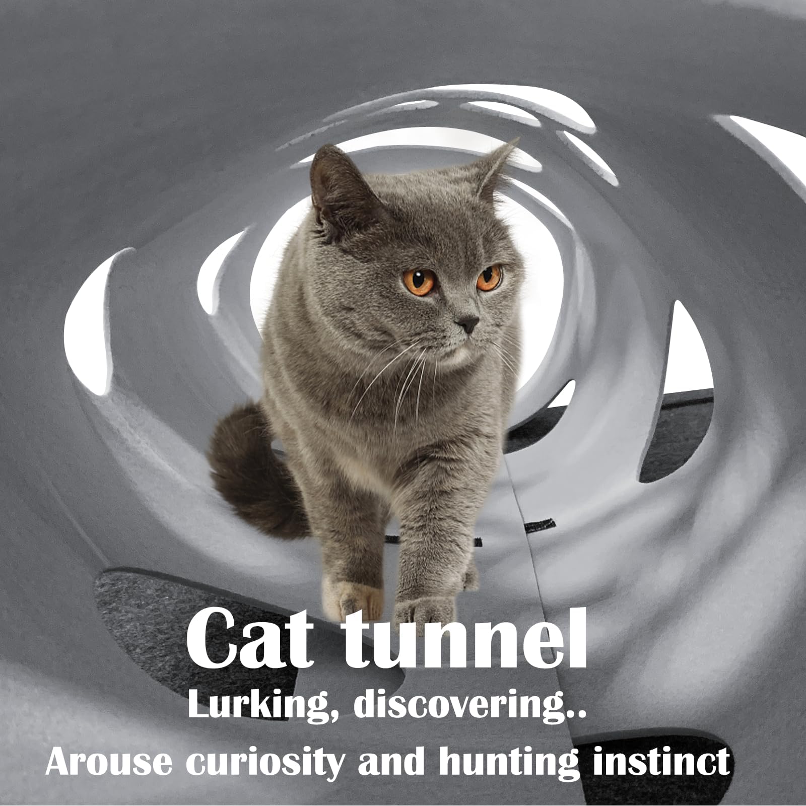 Katzenspielzeug und Kratzmatte,Katzen Filztunnel,Spieltunnel & Liegematte für schlafplatz,für intelligentes Spielen mit Deiner Großkatze und Kätzchen.Patentnummer: No 015084058-0001