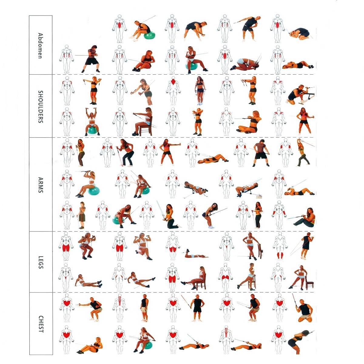 Juego de bandas de resistencia, bandas de ejercicio, bandas de entrenamiento con asas, hasta 150 libras, bandas de ejercicio codificadas por colores, guía de ejercicios, bolsa de almacenamiento
