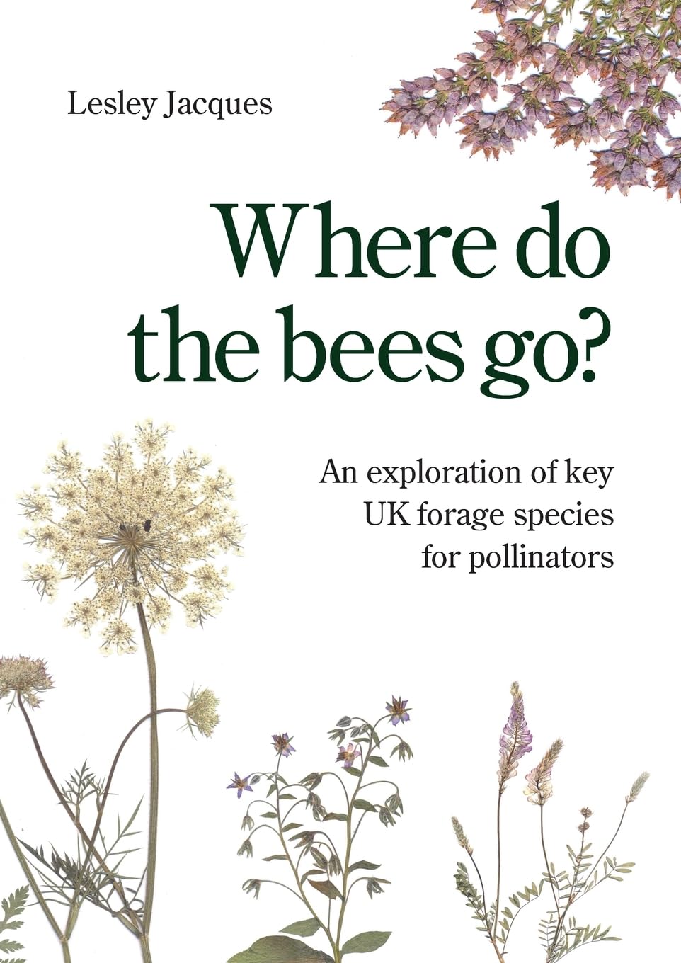 Where do the bees go?: An exploration of key UK forage species for pollinators