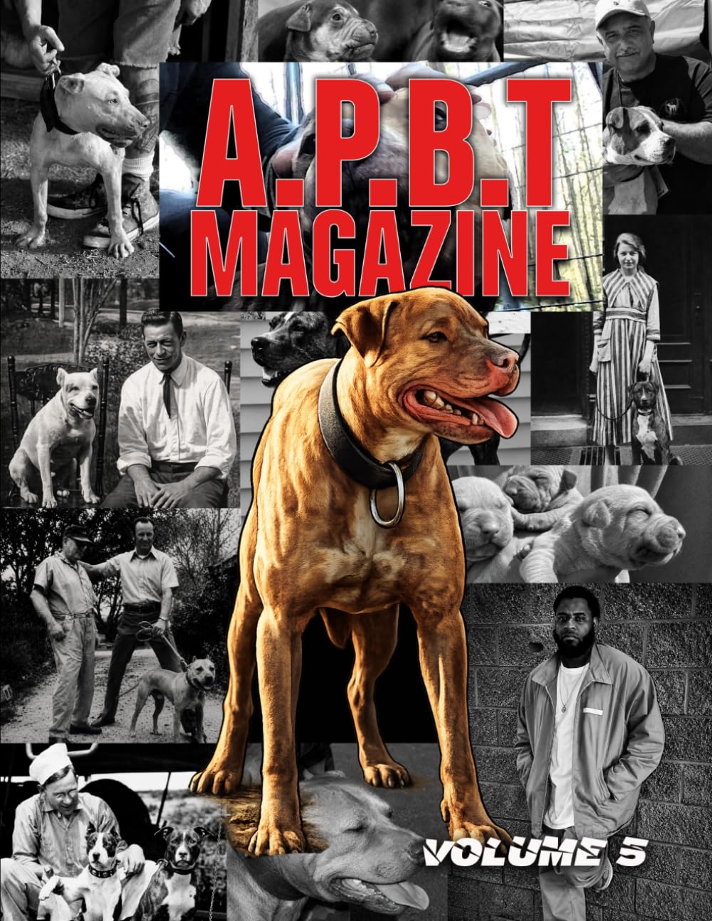 APBT Magazine Volume 5: American Pit Bull Terrier Magazine for Breeders, Owners, Fanciers, and Working Dog Enthusiasts