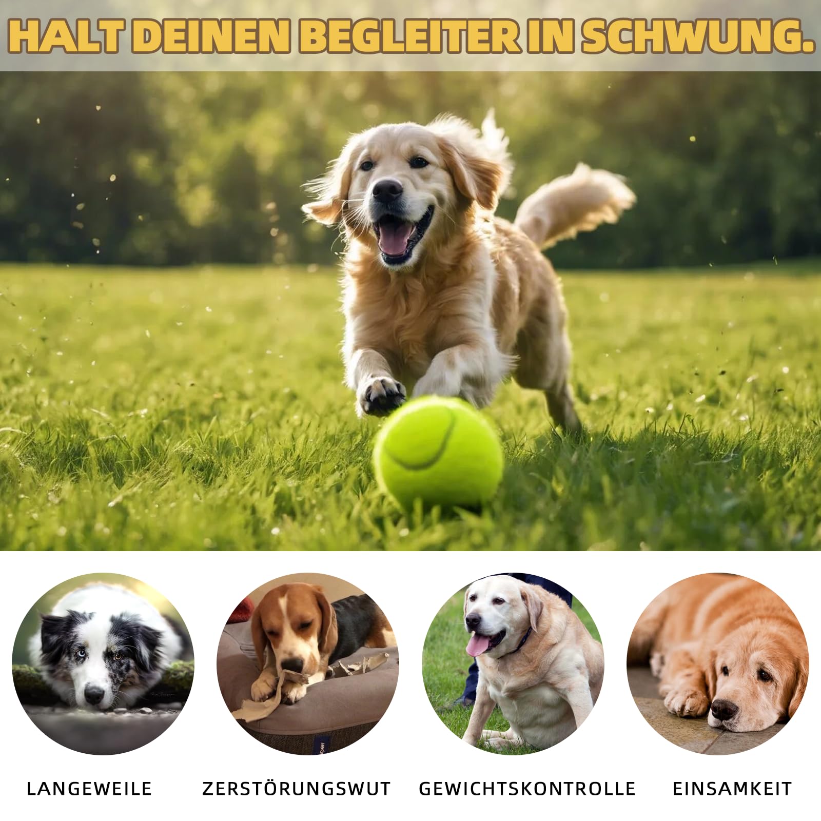 Hundeballwurfmaschine, Hundeballwurfmaschine mit 6 Tennisbällen, interaktives elektrisches Spielzeug für kleine Hunde, Indoor und Outdoor Hundetennisballwurfmaschine