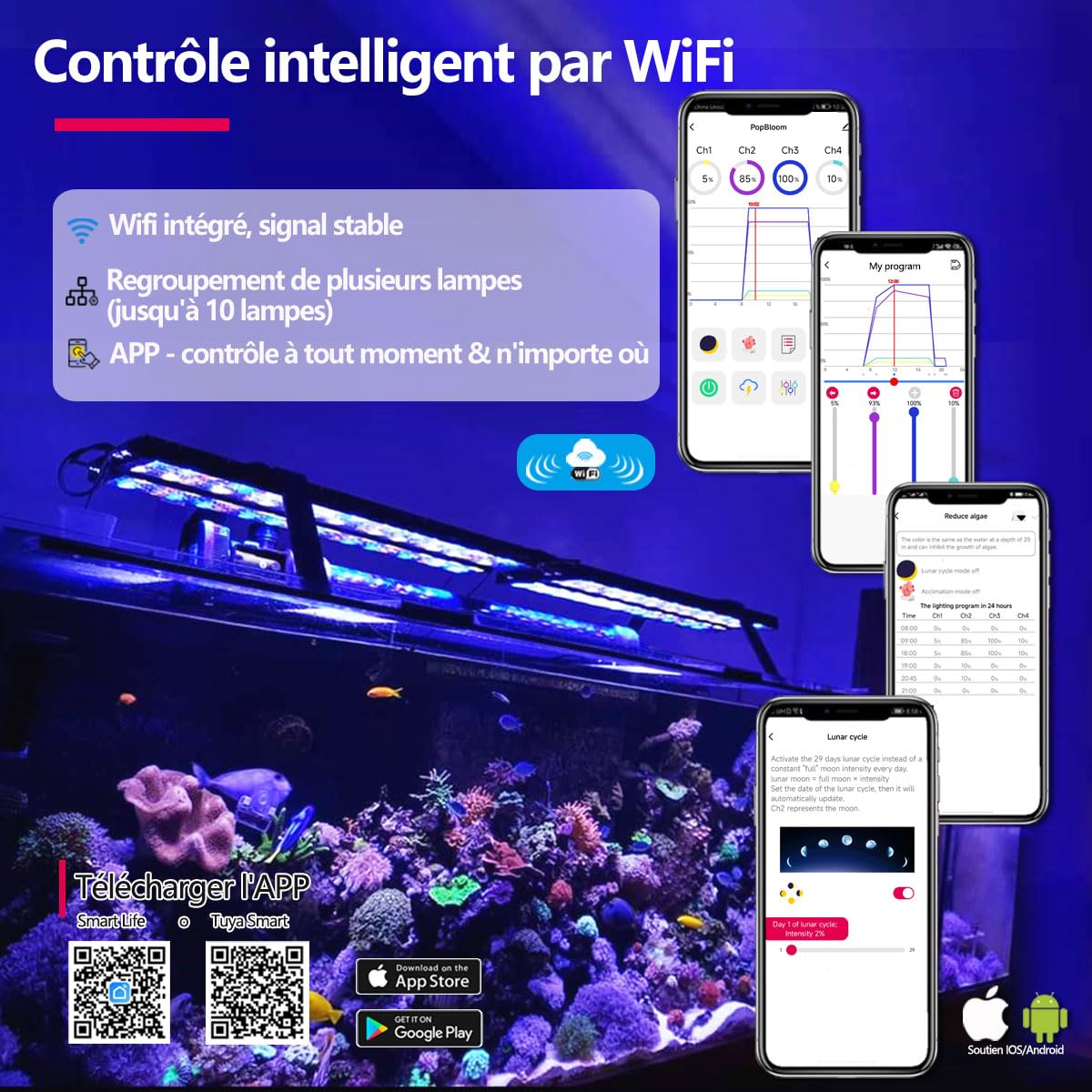 PopBloom Hertz54 WiFi eclairage led lampe aquarium led recifal reef aquarium eau de mer lumière pour 50-80cm (54cm, avec kit de suspension)