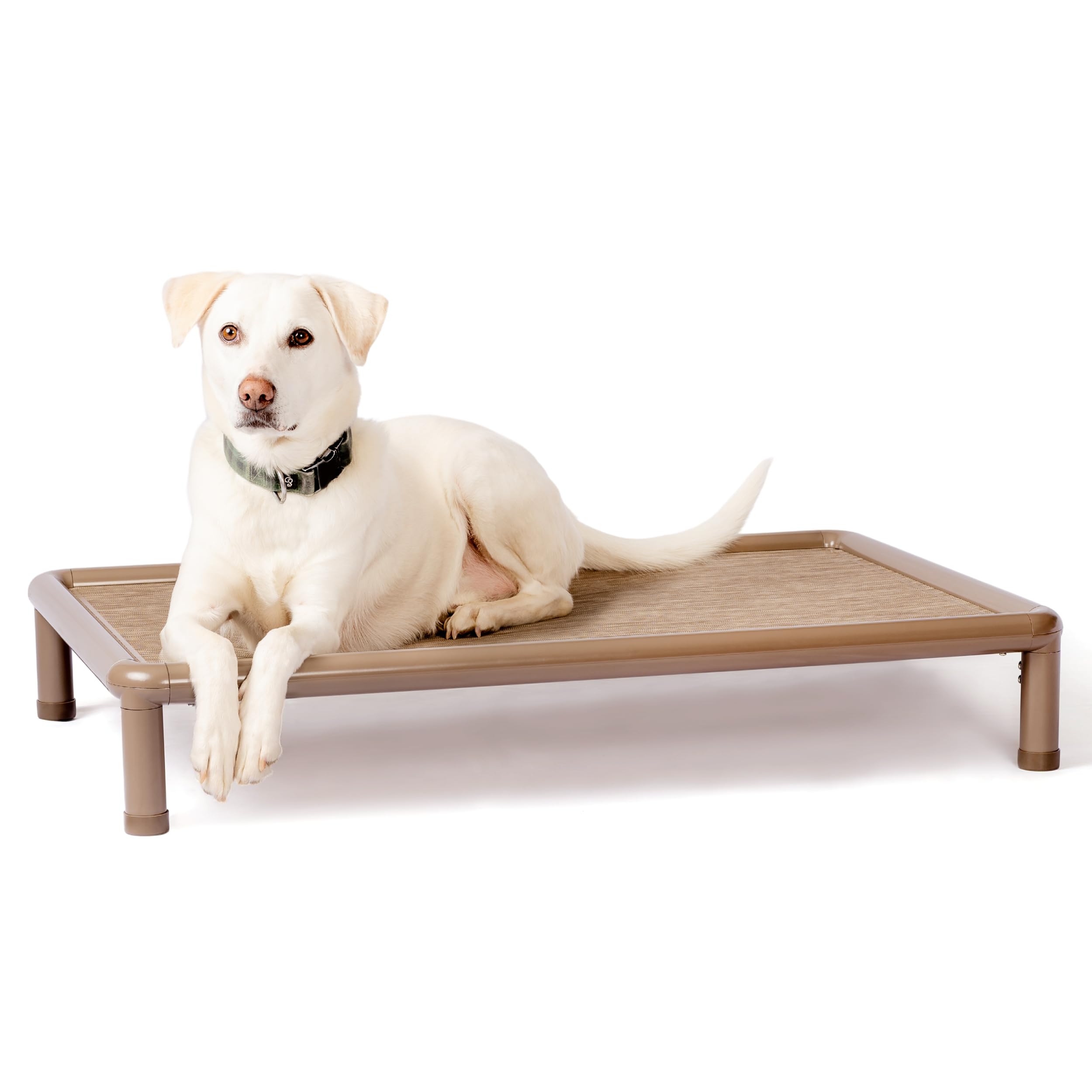 Barking Brown Elevated Pet Bed for Dogs | Ships Assembled | Aluminum Frame with Chew Resistant PVC Fabric | Supports up to 150 lbs | for Indoor and Outdoor Use | 40.5" x 26.5" x 6.75"