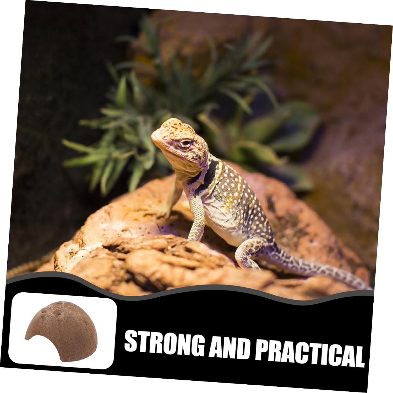 POPETPOP 3pcs Coconut Shell Reptile Hideouts Terrarium for Lizards Snakes and Amphibians Decorative Habitat Accessories for Naturalistic Environments