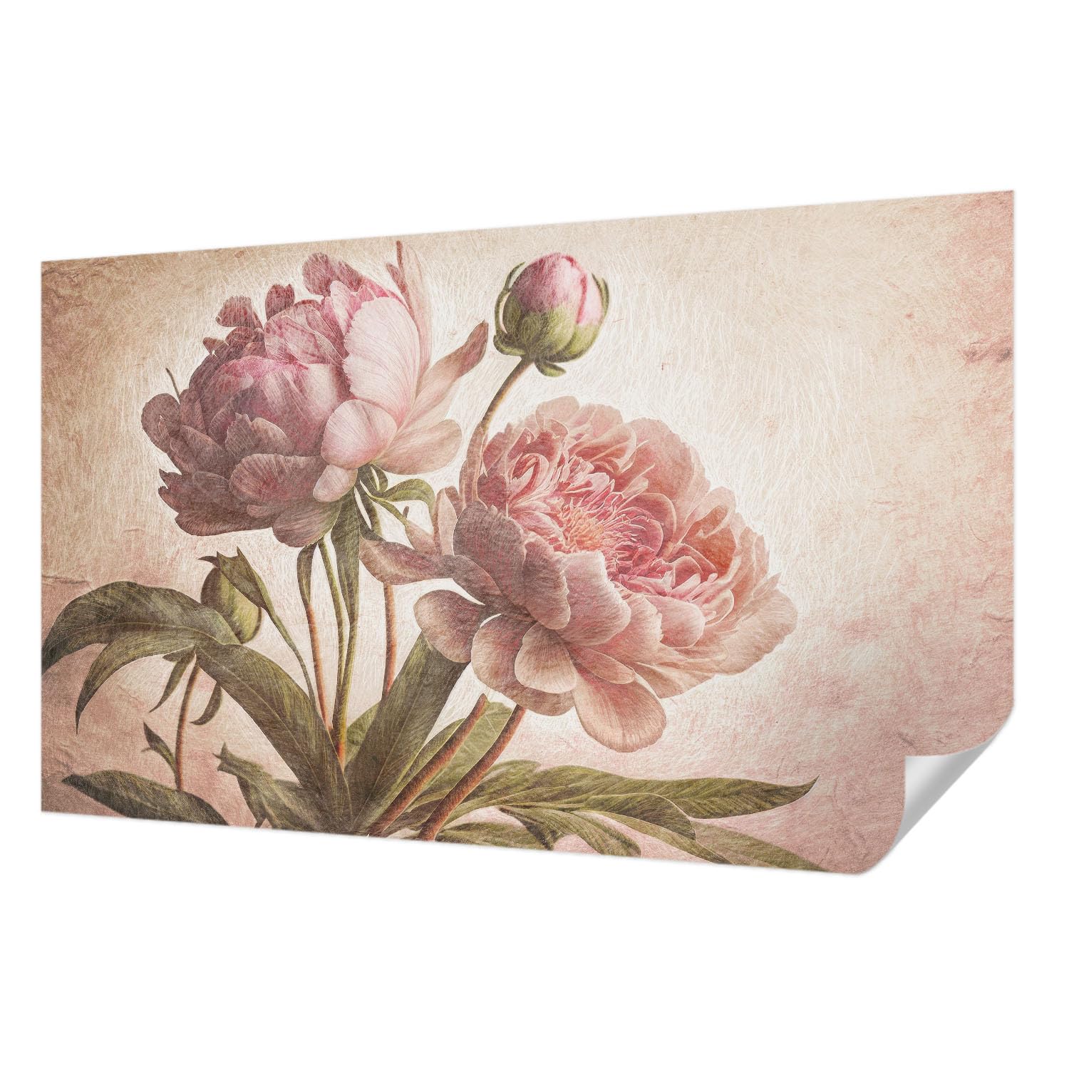 Décor adhésif résistant aux taches 416x254 cm pivoines