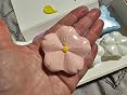 Lanwexy Bath Foot Bombs, 16 Pack Foot Soak with Bath Salt and Tea Tree Oil. Organic Natural Handmade Aroma Pure Essential Oil Bubble Foot Balls for Foot Callus, Dry Cracked, Stubborn Foot Odor Scent