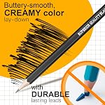 Ensemble de crayons à dessin, 23 Ensemble de crayons à dessiner, charbon de bois et Graphite Crayons pour les artistes débutant, idéal pour le dessin, le croquis, l'ombre