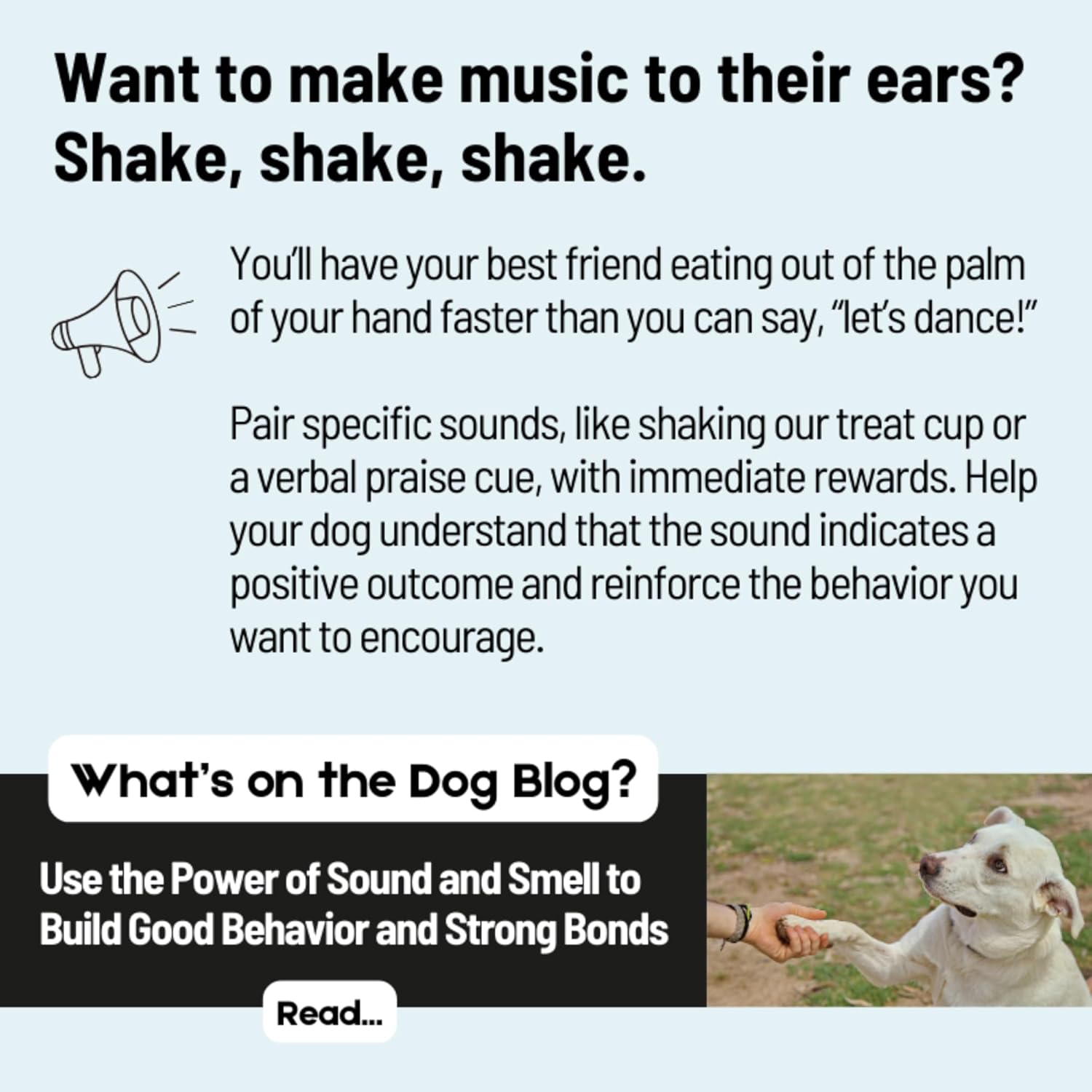 Zora's Best Friendz - 100% Human-Grade Oven-Roasted Freeze-Dried Beef Liver Dog Treats, 3 oz, Healthy, no HPP, Grain-Free, Gluten-Free, No Preservatives, Made in The USA (4 Pack, Beef Liver)