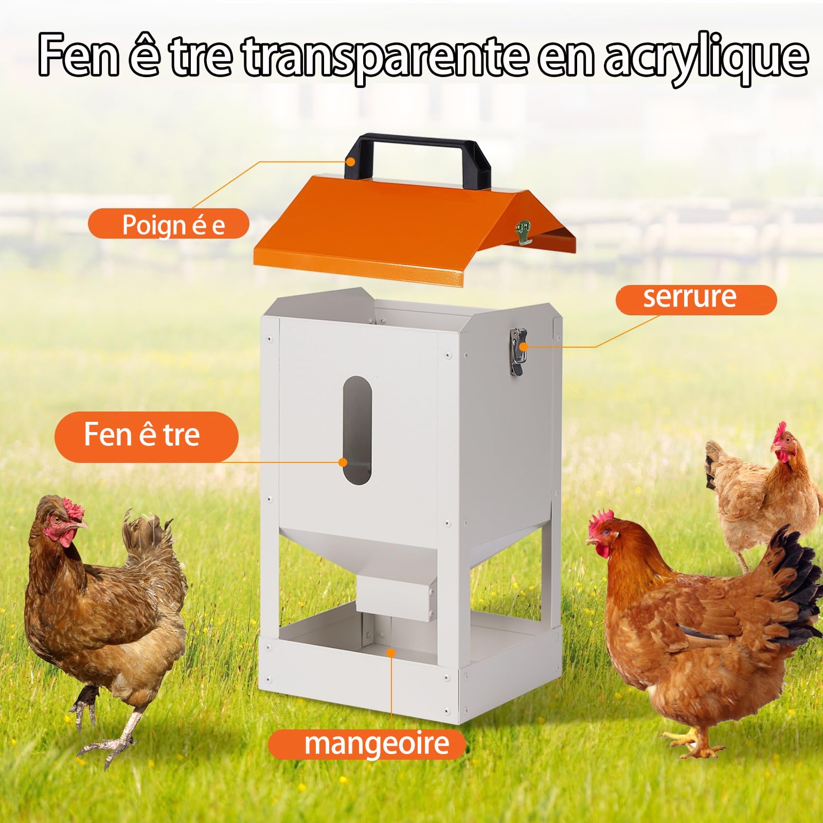 8KG Mangeoire Pour Poules Metal, Distributeur Automatique Graines Poules, Avec Couvercle Et Poignée, Distributeur D’Aliments Pour Volaille Pour Poulets, Canards, Oiseaux