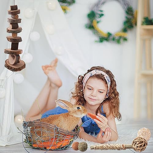 Miniatura 7 de 14 piezas de juguetes de conejo, juguetes para masticar, juguetes de hámster para dientes, madera de manzana natural, palitos de heno Timothy,