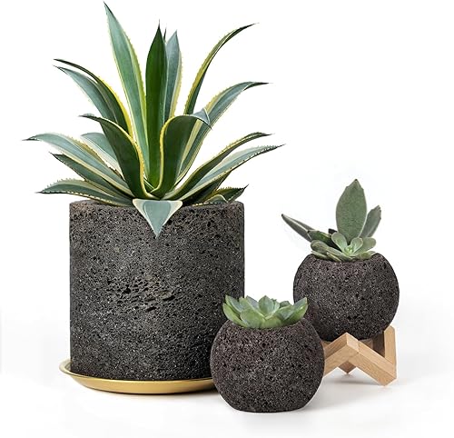 Macetas de roca de lava para plantas de orquídea serpiente, juego de 3 macetas de piedra natural, buen drenaje, maceta única de 62.5 pulgadas para