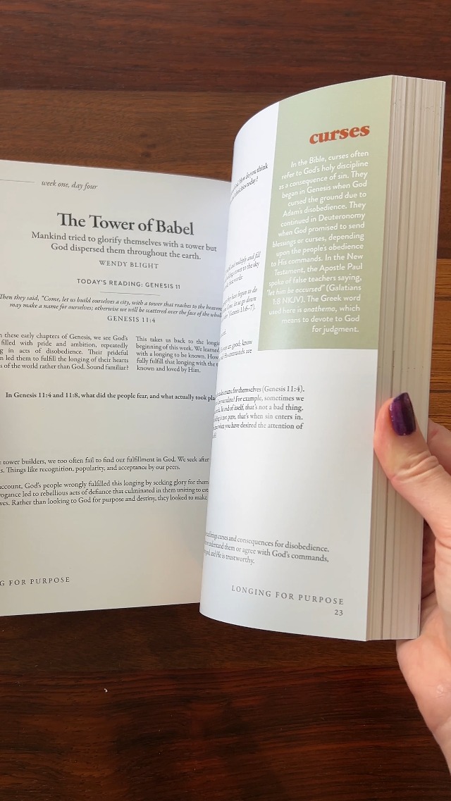 Image of 40 Days Through the Bible: The Answers to Your Deepest Longings
