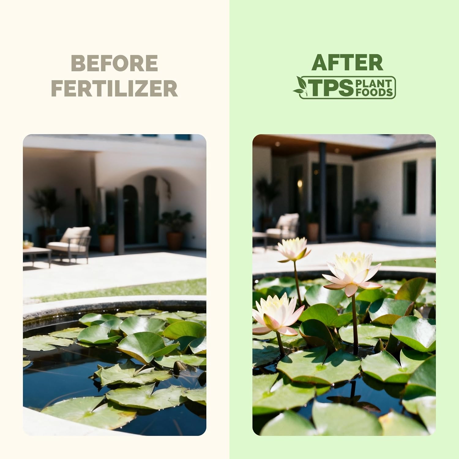 Lotus Fertilizer – Liquid Plant Food for More Blooms, Stronger Roots & Healthy Aquatic Growth, 32 oz