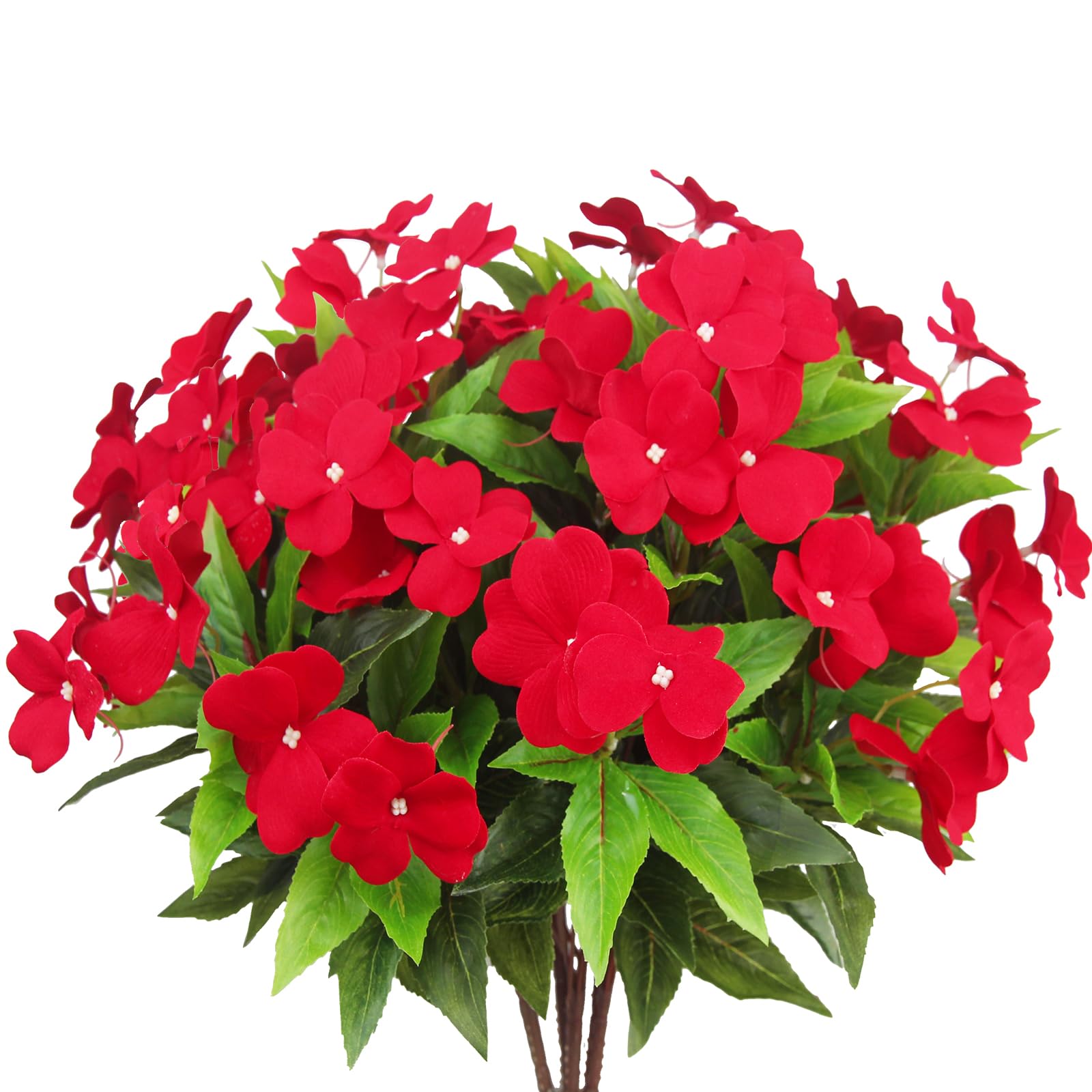 CITYES Red Impatiens