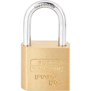 Burg-W chter 116 PC 50 Diversion Safes Brass