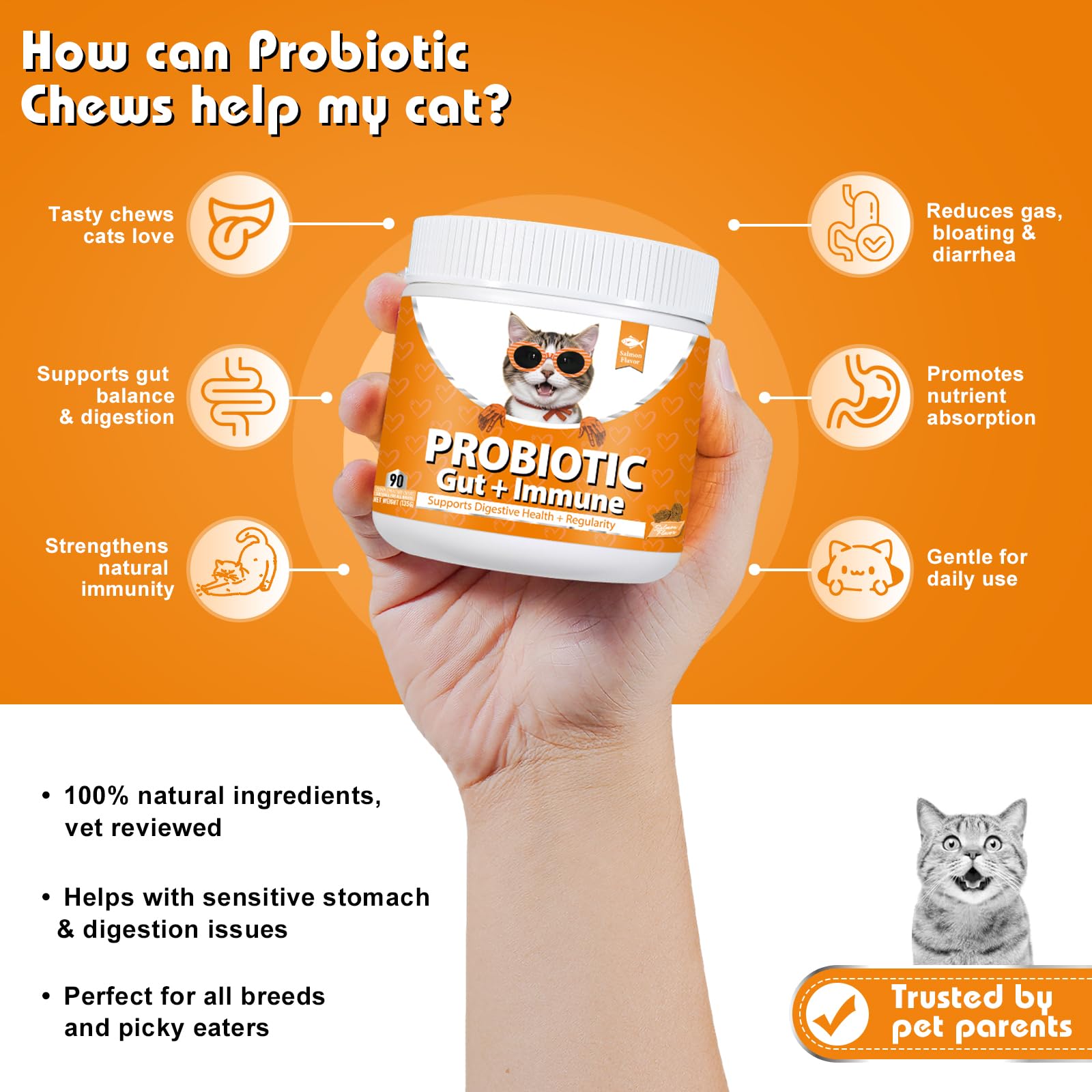 Daily Probiotics for Cats - Image 3