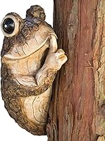 Bits and Pieces Keep Quiet Frog Tree Peeker - Whimsical Polyresin Tree Sculpture for Garden Yard Decor