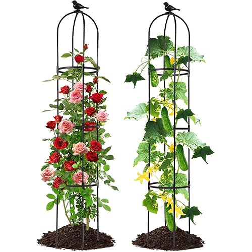 Lalahoni Garden Trellis for Climbing Plants, 5.6 feet Tall Garden Obelisk Trellis Climbing Plant Outdoor Support Potted Vine Flower Rose Vegetable Cucumber Trellis Raised Bed, Lightweight, 2 Pack