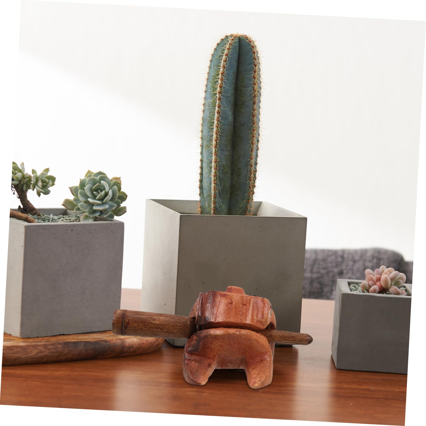 Rana de Percusión de Madera 3 Piezas, Artesanía Decorativa