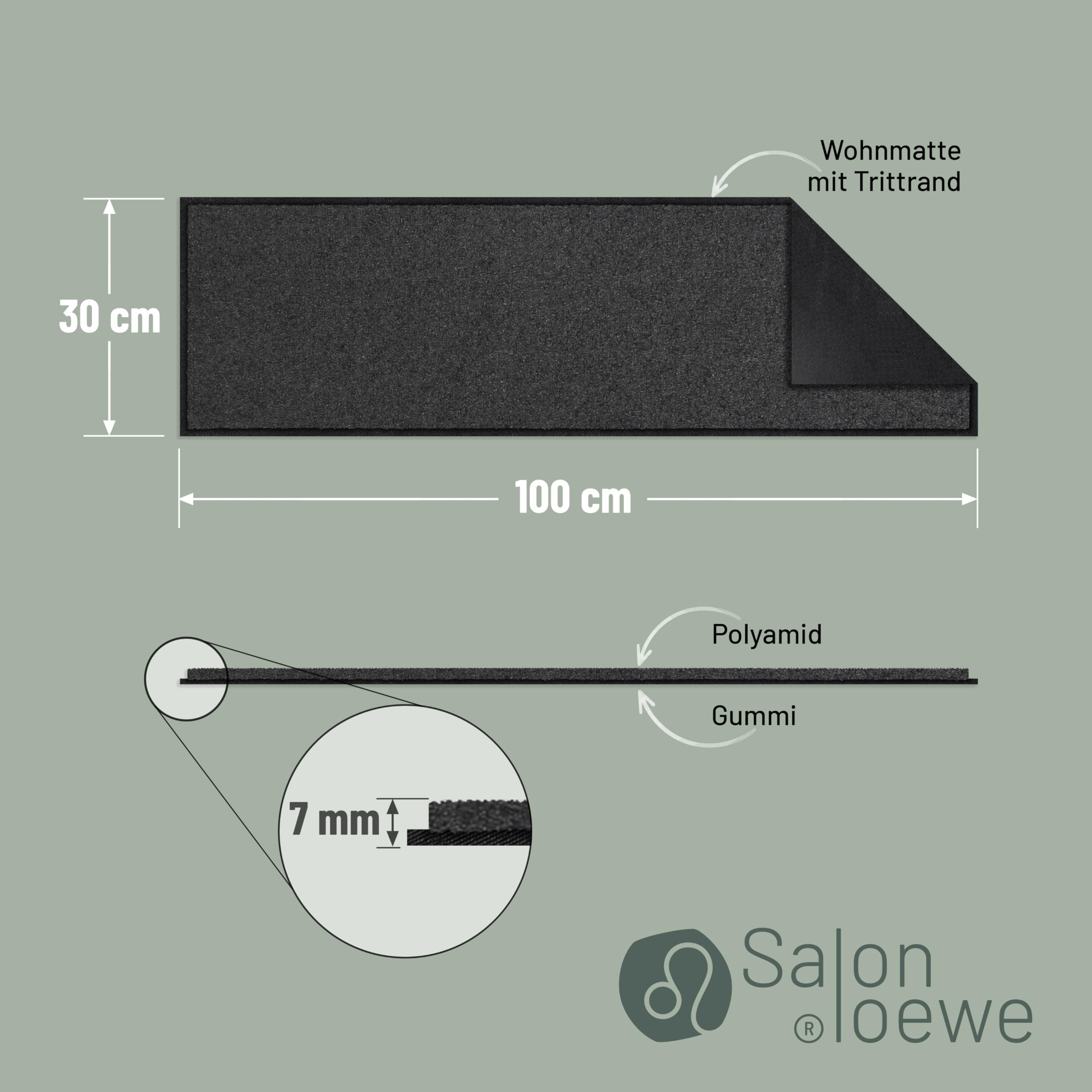 Salonloewe Zerbino 030 x 100 cm, colore antracite, per interni ed esterni, zerbino, SLU6011-030x100