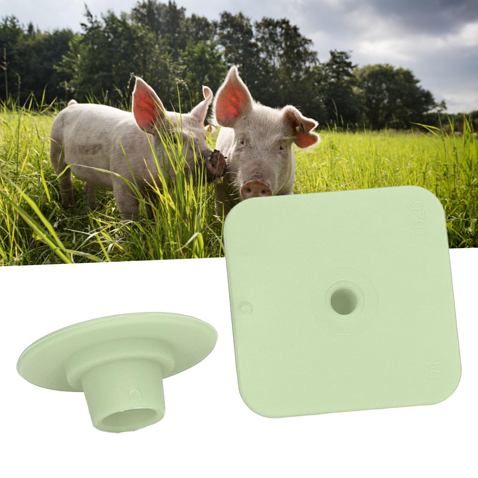 Yctze Marcatori di Identificazione del Bestiame Veterinario per l'orecchio da 100 Pezzi per Suini, Bovini, Facile Registrazione, Rosso (GREEN)