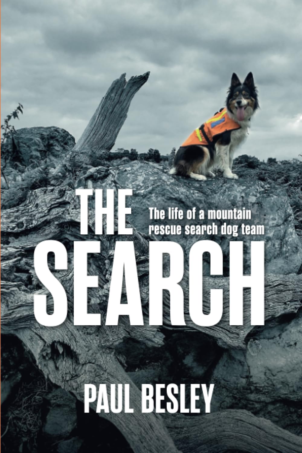 The Search: The life of a mountain rescue search dog team