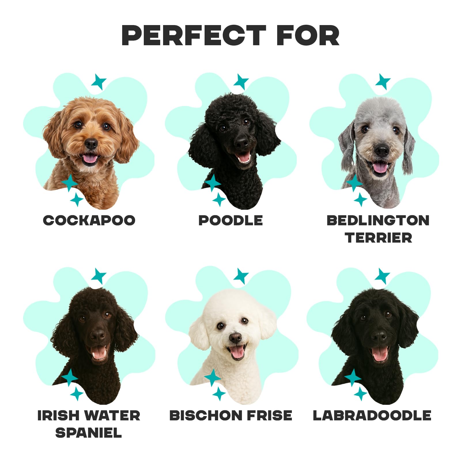 Dirty Bertie Curly Coat Dog Shampoo with Avocado & Aloe Vera, Vegan Dog Grooming Shampoo for Poodles Cockapoos, Bichon Frisés - Image 4
