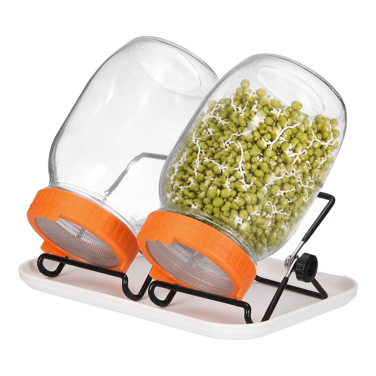 QUARKZMAN 1000ML Sprossenglas Set Orange 2 Set Für Die Keimung von Pflanzen