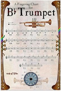 QSHPO Trumpet Knowledge Metal Sign Vintage Music Studio Decor A Fingering Chart For B Trumpet Tin Poster Home Club Wall Decoration Plaque 12x18 Inches 12inch*18inch