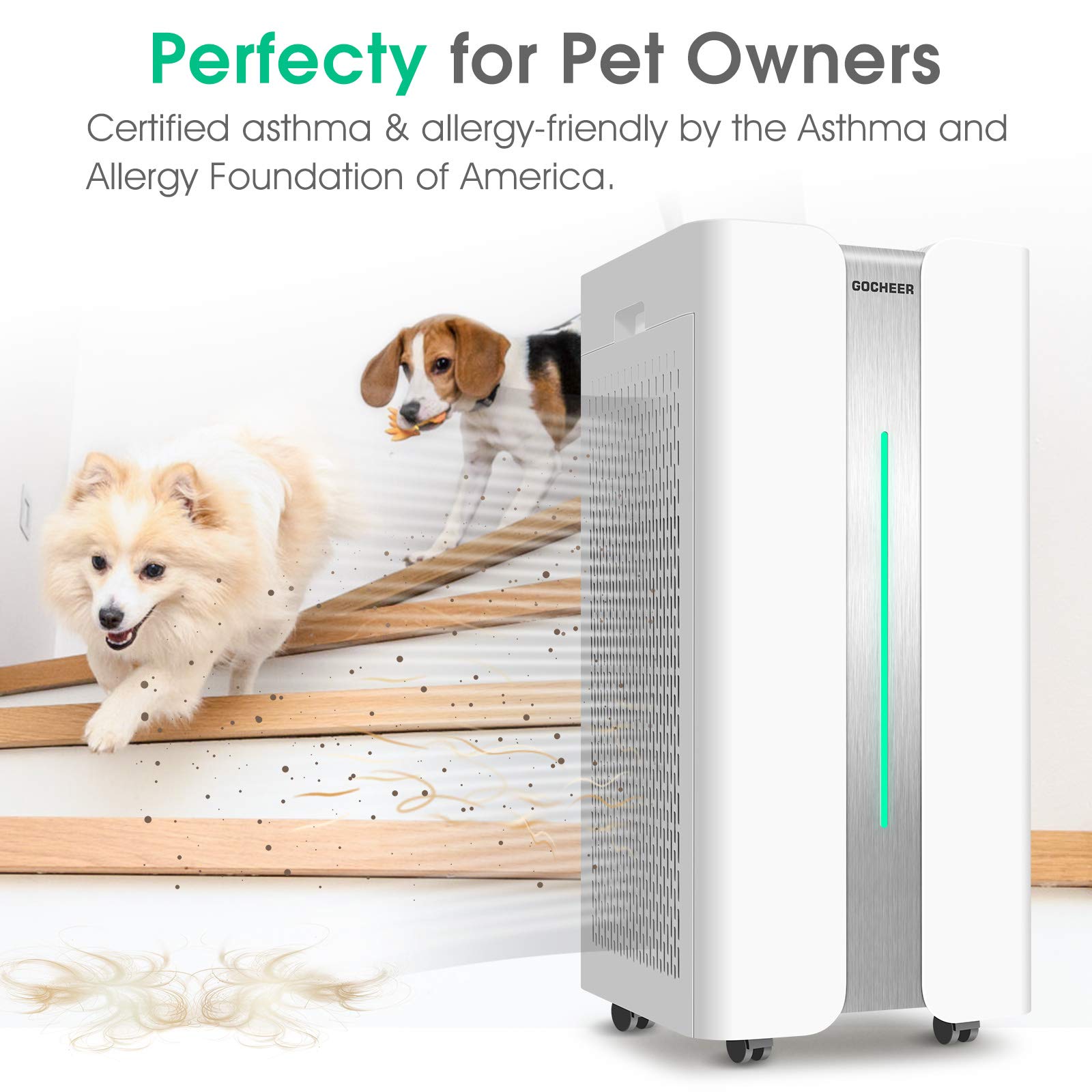 Gocheer, Purificatore d'aria CADR 1000 m³/h Si adatta a camere fumatori H13 HEPA Air Purifier per chi soffre di allergie, filtro dell'aria contro il 99,97% di polvere polline odori, sistema di
