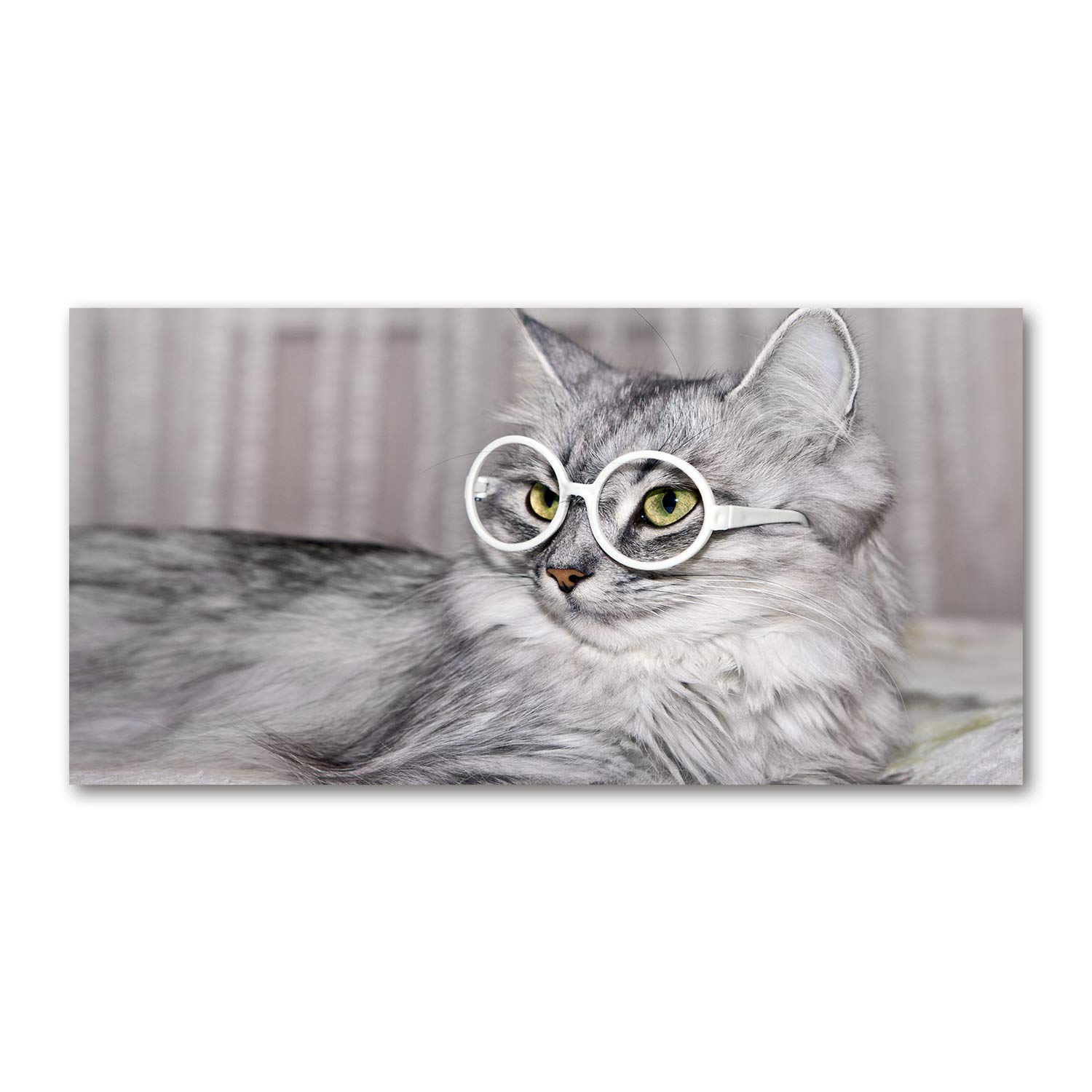 Image verre plastique animaux chat gris 120x60 tableau acrylique