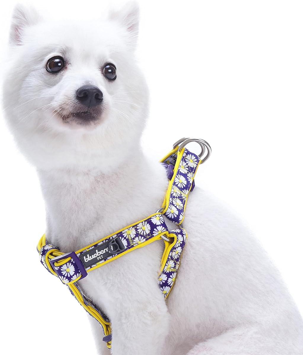 Blueberry Pet Arnés acolchado para perro con 2 patrones, suave y cómodo, con estampado de margaritas, contorno de pecho de 20 a 26 pulgadas, mediano, arneses ajustables para perros
