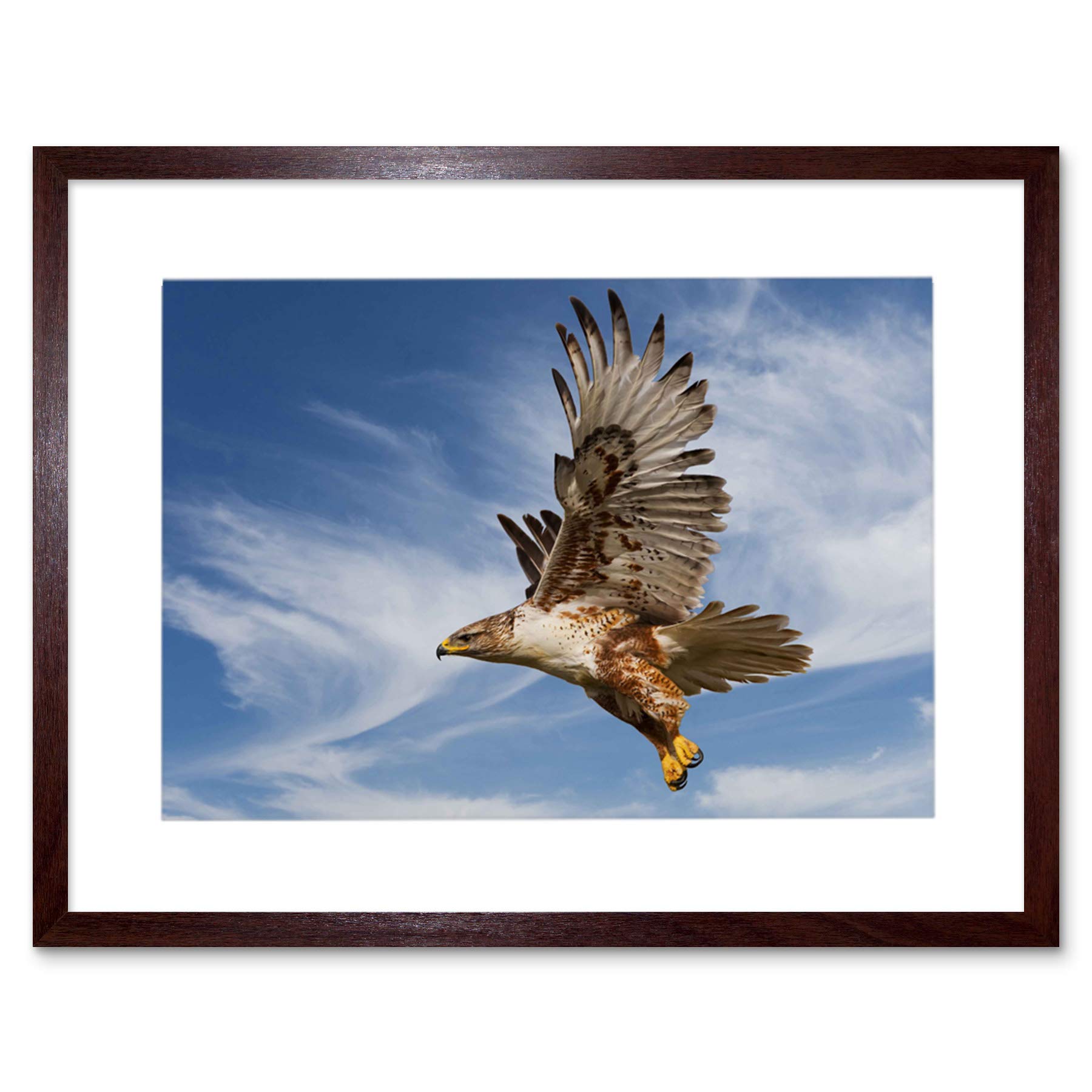 Wee Blue Coo Ferruginous Hawk Prey Hunting Flight Bird Picture Framed Wall Art Print