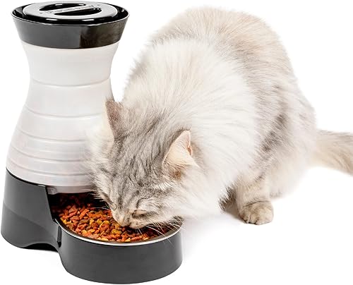 PetSafe Healthy Pet Food Water Stations with Accessories - Dog Cat Food Water Dispensers - Stainless Steel Bowl Resists Corrosion Stands Up to PetSafe Healthy Pet Food Water Stations with Accessories - Dog Cat Food Water Dispensers - Stainless Steel Bowl Resists Corrosion Stands Up to