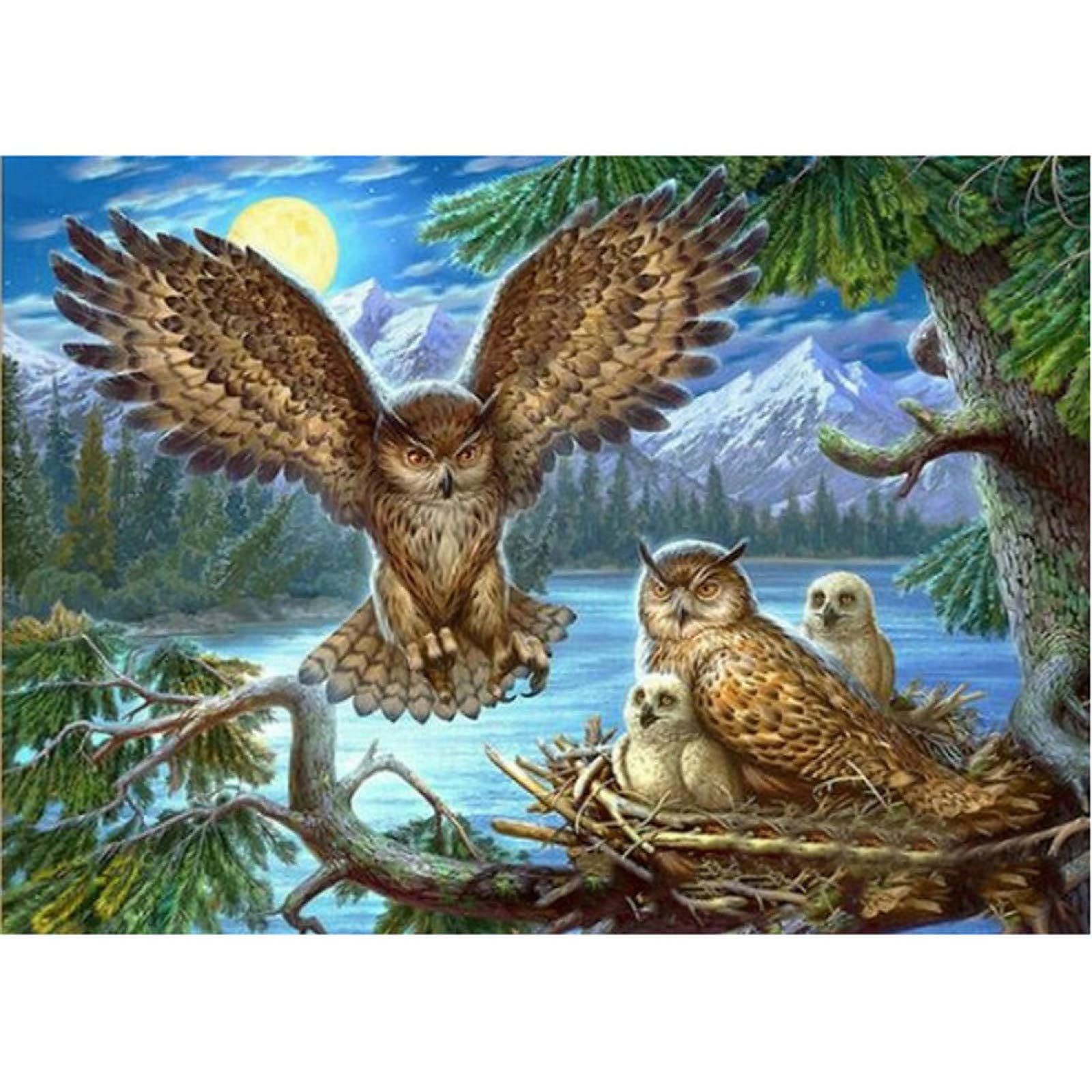 Diamond Painting Hibou 5D Peinture Diamant Adulte Enfant, 2