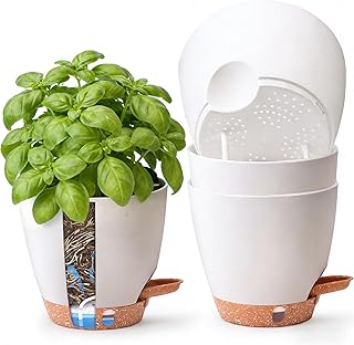T4U 15CM 4er Set Selbstbewässernder Kräutertopf für Fensterbank & Küche – Basilikum, Petersilie, Schnittlauch u. v. m. – für Vielbeschäftigte & Anfänger – Innen & Außen (Weiß)
