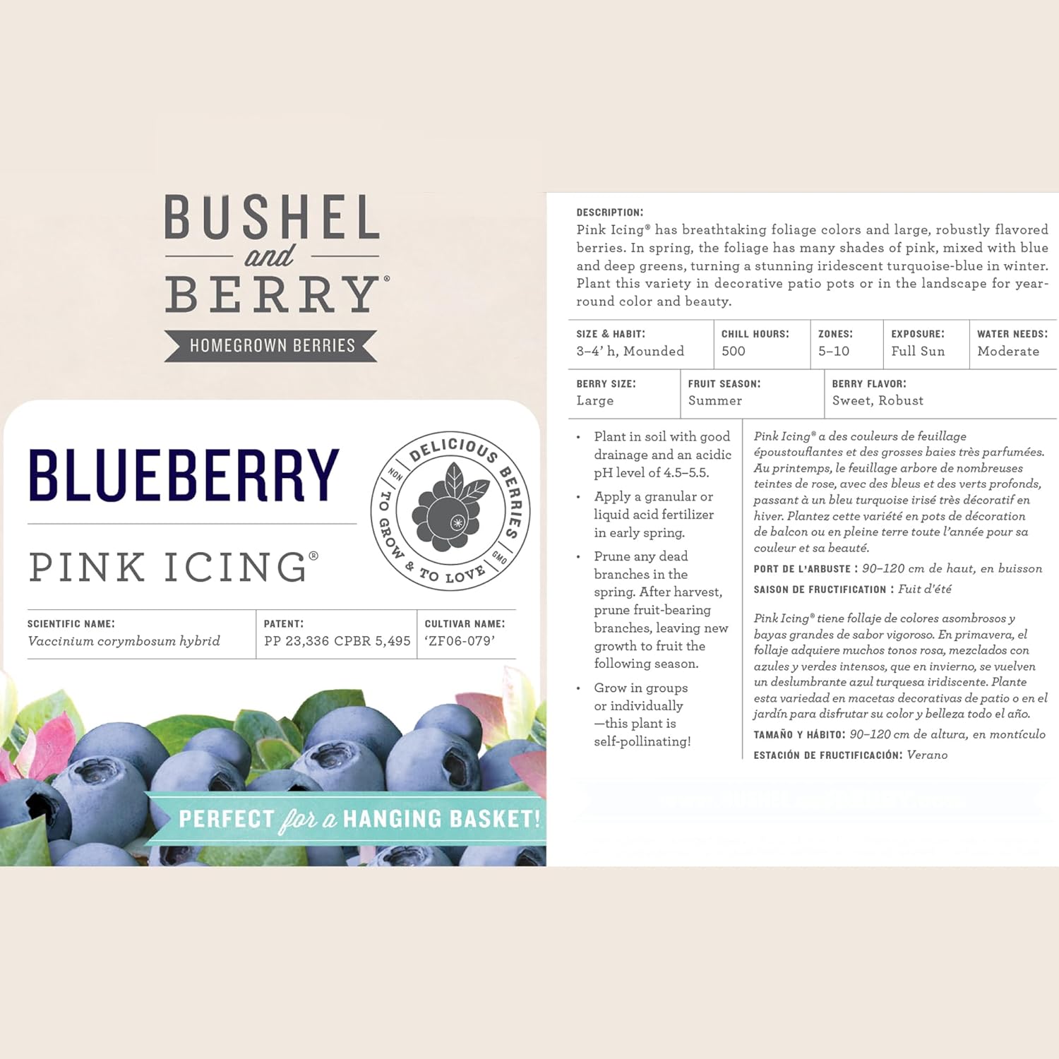 Bushel & Berry 2 Gal. Pink Icing Blueberry Plant