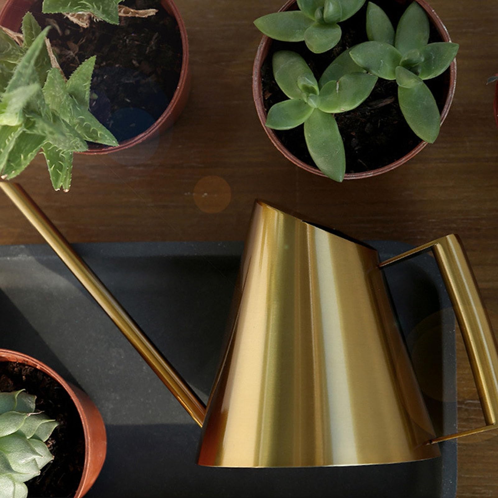 Arrosoir en Acier Inoxydable, arrosoir Vintage de Style Nordique à Bec Long pour Plantes d’intérieur, capacité de 1,5 L, Finition dorée avec Ouverture Semi-Ouverte, idéal pour Les