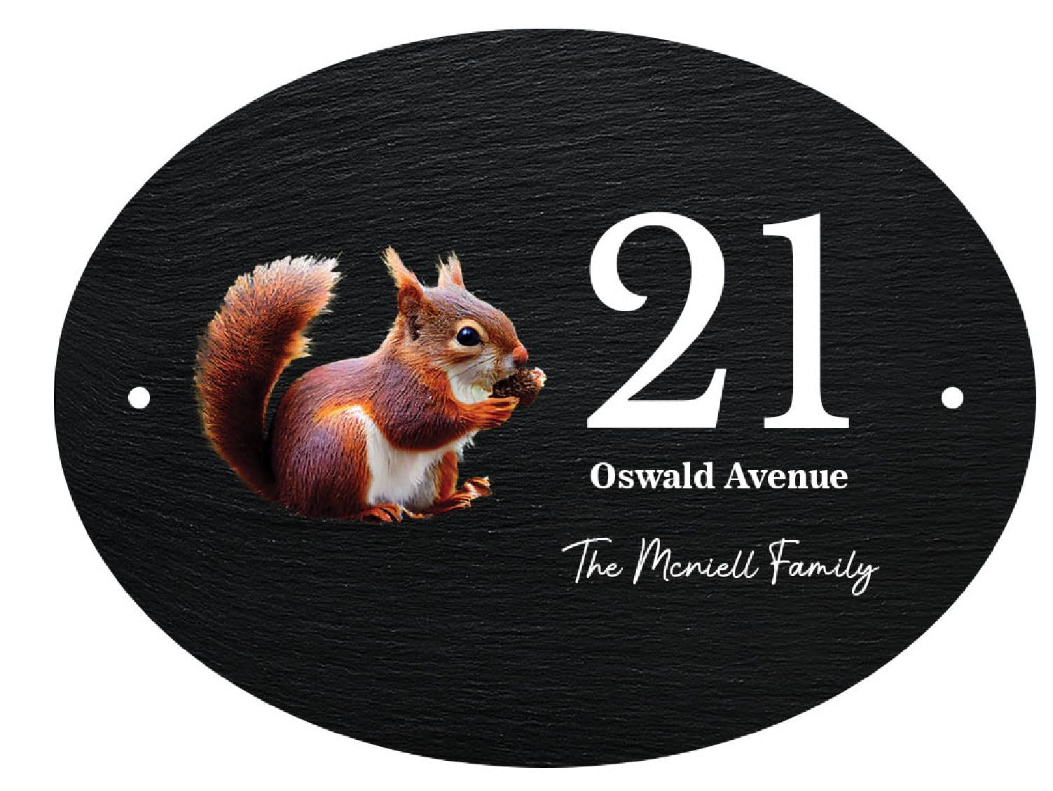 Personalised Oval Slate House Sign Door/Name Plate Robin Kingfisher Owl Blue Bird Squirrel (UV PRINTED) (Squirrel)