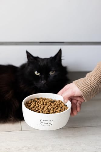 Miniatura 5 de Pearhead Cuenco de cerámica para gatos, capacidad para 1.3 tazas, plato para mascotas apto para bigotes para alimentos y agua, moderno blanco